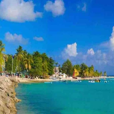Casa Tropica Sainte-Anne Lägenhet Exteriör bild